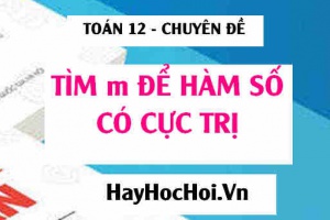 Tìm m để hàm số có cực đại, cực tiểu (xác định m để hàm số có cực trị) - Toán 12 chuyên đề